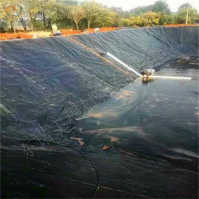 Protezione dell'ambiente Geomembrana HDPE rivestimento di stagno di pesce 1 mm 2 mm per discarica