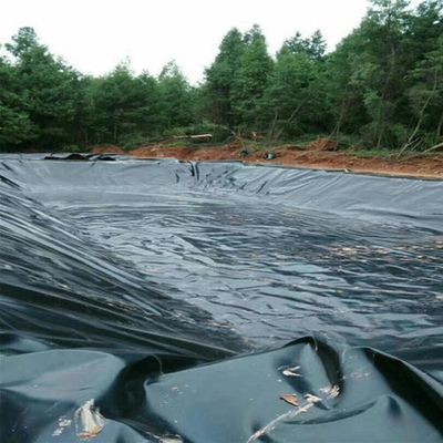 Geomembrana per stagni di pesce per serbatoi di stoccaggio dell'acqua Lunghezza 50-200m Standard ASTM GRI-GM13