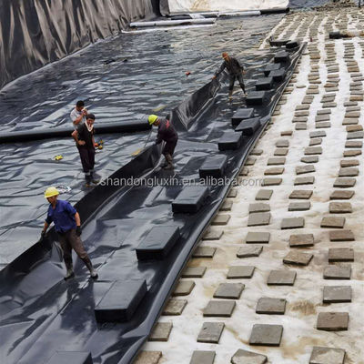 Geomembrane di HDPE nero La protezione definitiva per l'acquacoltura