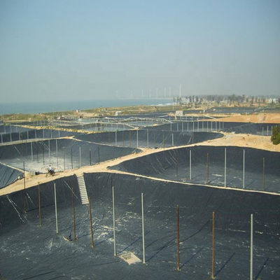 Geomembrana HDPE nera personalizzabile per stagni di pesce di 0,5 mm stile di progettazione industriale