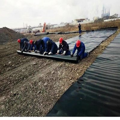 Doppia texture HDPE Geomembrane Fish Farm Pond Liner con capacità di soluzione di progetto