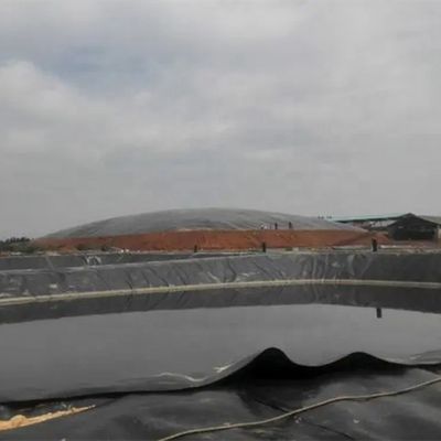 Supporto tecnico on-line 2 mm HDPE Geomembrane Pond Liner per la piscicoltura e le discariche