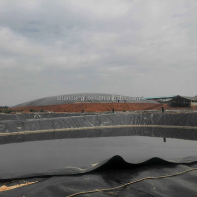 Geomembrana in HDPE liscia/tessuta da 1 mm e 1,5 mm per lo stile di progettazione industriale a prezzi competitivi