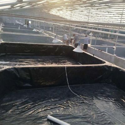 Geomembrana liscia 0,3 mm 0,5 mm Rivestimento di stagno per pesci per l'acquacoltura Stile di design moderno