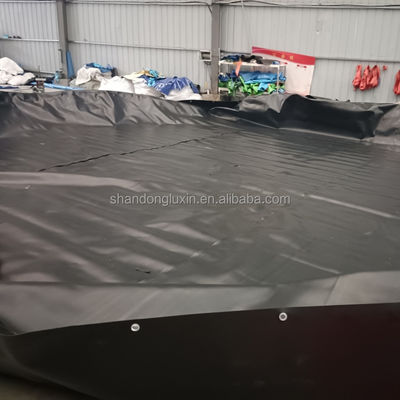 Geomembrane Liner personalizzabile in HDPE per la fattoria di gamberetti di stagno di pesce nella diga del serbatoio minerario