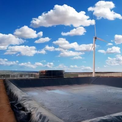 Geomembrane Liner personalizzabile in HDPE per la fattoria di gamberetti di stagno di pesce nella diga del serbatoio minerario