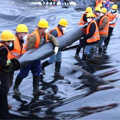 Geomembrane Liner personalizzabile in HDPE per la fattoria di gamberetti di stagno di pesce nella diga del serbatoio minerario