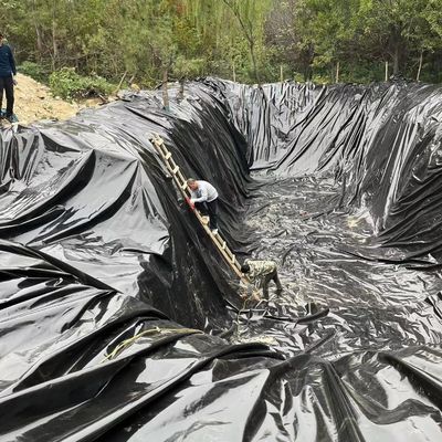 1Geomembrana in HDPE da 2,5 mm per la progettazione industriale di stagni doppia texture liscia/doppia