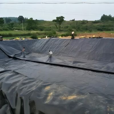Kenya Farm Earch Dam Lining Made Easy con 500 micron HDPE Pond Dam Liner Installazione