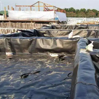 Geomembrana idraulica in HDPE per giardini sul tetto o stagni di gamberetti
