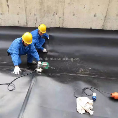 Geomembrana idraulica in HDPE per giardini sul tetto o stagni di gamberetti