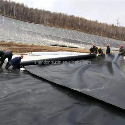 Liner di diga in HDPE per discarica industriale Progetto di soluzione Capacità Progettazione grafica Realizzata