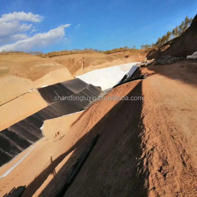 ASTM GRI-GM13 Geomembrana in HDPE standard da 1 mm per applicazioni in stagni di pesce e discariche