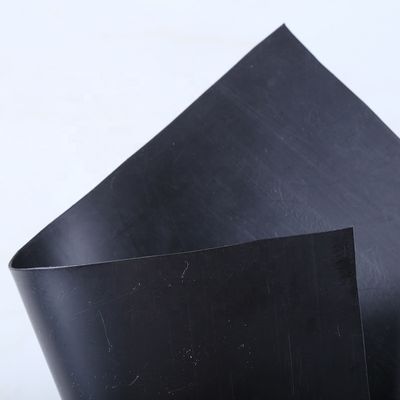 Capacità di soluzione del progetto 100% HDPE Geomembrane Pool Liner per l'allevamento liscio di pesci