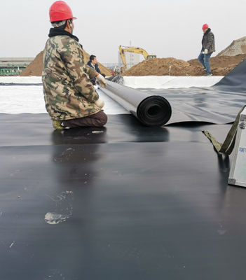 Capacità di soluzione del progetto 100% HDPE Geomembrane Pool Liner per l'allevamento liscio di pesci