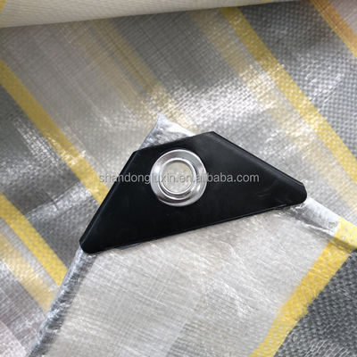 LDPE rivestito di telone PE per autocarri/autocarri/barche