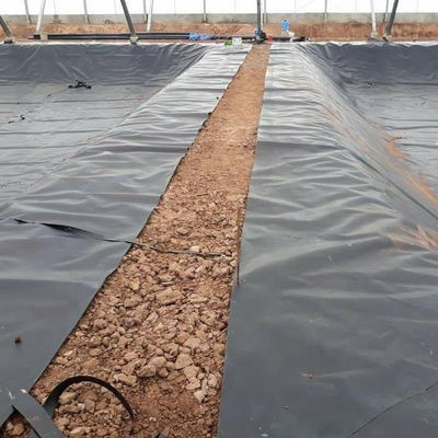 Geomembrana idraulica in HDPE per rivestimento di dighe di serbatoi artificiali per laghi di spessore 1 mm-2 mm