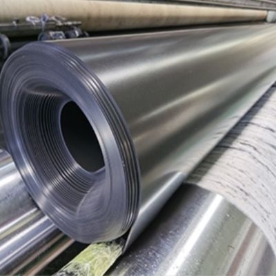 Doppia geomembrana liscia in HDPE per stagno di pesci 0,3 mm 0,8 mm per le esigenze dell'acquacoltura
