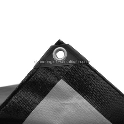 HDPE tessuto con laminatura LDPE Tarpaulin Roll La soluzione definitiva per le tende esterne
