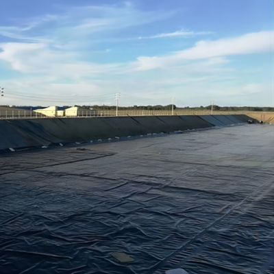 Capacità di soluzione del progetto Moderno 1.0mm HDPE Fish Pond Liner per impermeabilizzazione del tetto