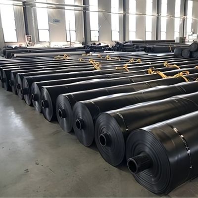 Polietilene ad alta densità HDPE Geomembrane lisce per stagno di pesce EVA per acquacoltura