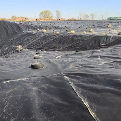 Rollo di geomembrana in HDPE bianco lucido da 1,5 mm per piscine di allevamento di pesci