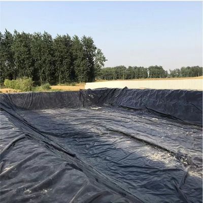 1.0mm Geomembrana HDPE per lago artificiale Soluzione di progettazione grafica a superficie doppia liscia