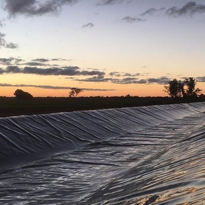 1.5mm HDPE Geomembrane Fish Pond Liner per discariche direttamente dai produttori