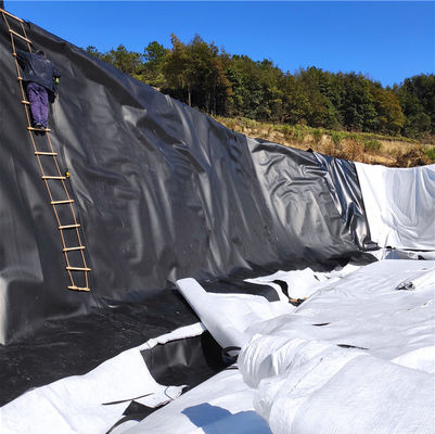 Moderno stile di design doppio geomembrana liscia pesce stagno liner 1 mm per lago artificiale