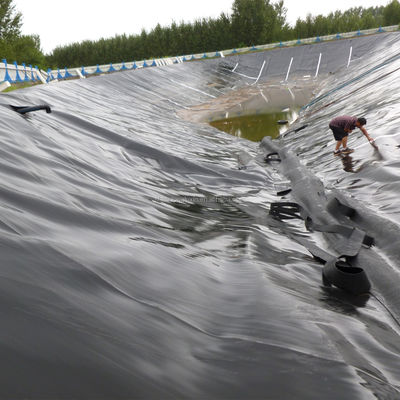 Liner di stagno impermeabile a geomembrana in HDPE nero su misura da 1 mm per aquafarm 50-100m di lunghezza