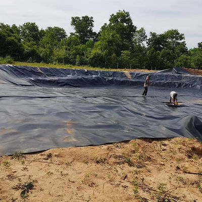 Geomembrana in HDPE blu spessore da 0,2-3,0 mm per recinto di contenimento della diga bacino idrico miniere stagno di allevamento di gamberetti