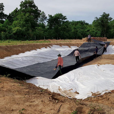 EPDM EVA HDPE Pond Liner Lastra di plastica per pesci gamberi Piscina di allevamento Stagno