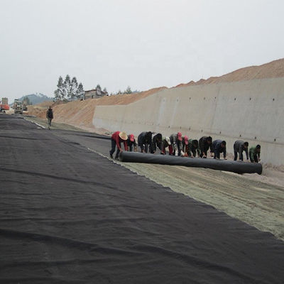 EPDM EVA HDPE Pond Liner Lastra di plastica per pesci gamberi Piscina di allevamento Stagno