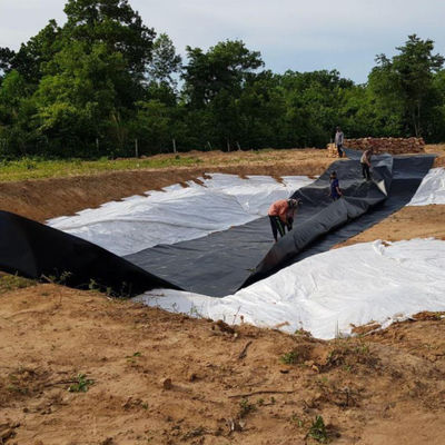 EPDM EVA HDPE Pond Liner Lastra di plastica per pesci gamberi Piscina di allevamento Stagno