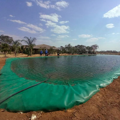 EPDM EVA HDPE Pond Liner Lastra di plastica per pesci gamberi Piscina di allevamento Stagno