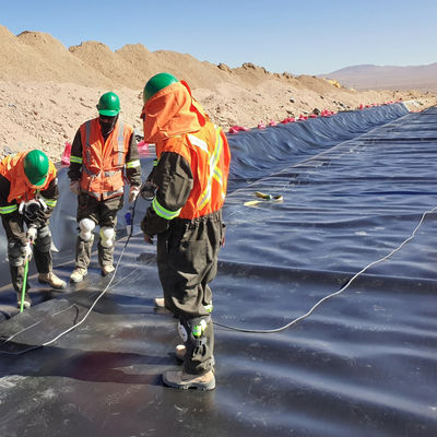 ASTM GRI-GM13 Standard 1mm 2mm HDPE Geomembrane Fish Pond Liner per l'allevamento ittico