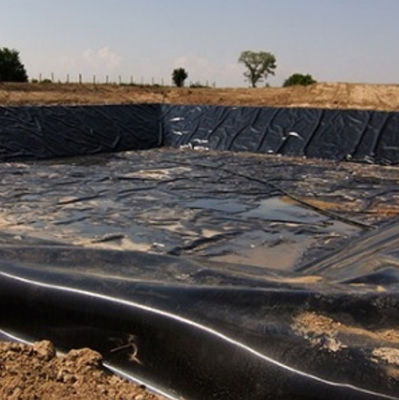 ASTM GRI-GM13 Standard 1mm 2mm HDPE Geomembrane Fish Pond Liner per l'allevamento ittico
