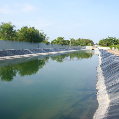 1m-8m Larghezza Geomembrane Liner HDPE per piscine di allevamento di pesci Capacità di soluzione del progetto