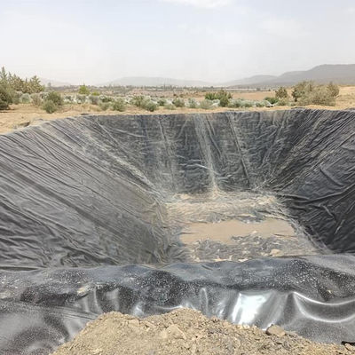 Geomembrana idraulica in HDPE, resistente al rivestimento di stagni di pesci, membrana per la superficie delle piscine
