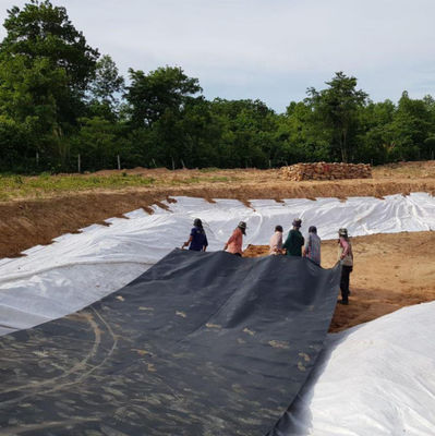 Geomembrana HDPE a doppia consistenza 1 mm per rivestimento di diga in plastica impermeabile