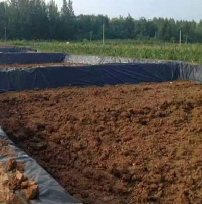 Geomembrana HDPE a doppia consistenza 1 mm per rivestimento di diga in plastica impermeabile