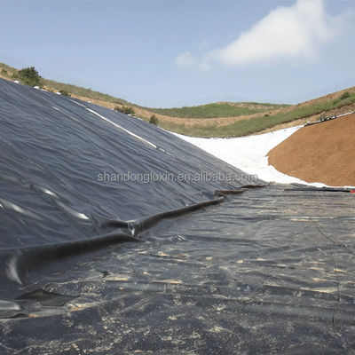 Geomembrana in HDPE da 1 mm per stagni di pesce e discariche Larghezza da 1m a 8m Ispezione in loco Durable