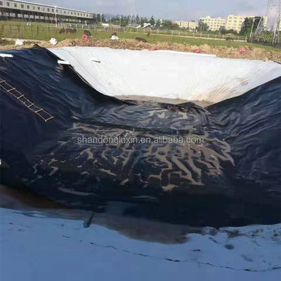 Moderna geomembrana liscia HDPE rivestimento stagno pesce per discarica da 1 mm a 2 mm Lunghezza 50-200m