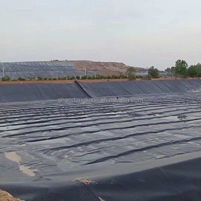 1-6m di larghezza Geomembrana liscia in HDPE per piscine di pesce Ritorno e sostituzione offerto
