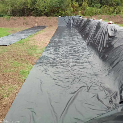Geomembrana lucida per discarica diga stagno Liner vasca da pesce e più 1,5 mm / 2 mm di spessore