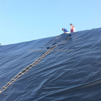 Geomembrana liscia prefabbricata Geomembrana testurizzata 2 mm per progettazione impermeabile in HDPE