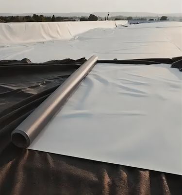 Geomembrana liscia prefabbricata Geomembrana testurizzata 2 mm per progettazione impermeabile in HDPE