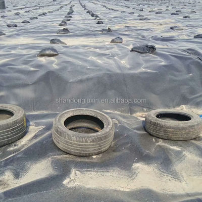 ASTM GRI-GM13 Standard HDPE Geomembrana liscia per stagno di pesce per serbatoi di stoccaggio dell'acqua