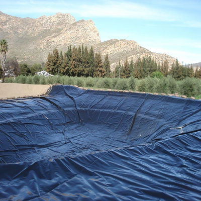 Geomembrane PVC LDPE HDPE Fish Pond Liner Dam Liner Lunghezza 50-200m Spessore 0,3mm-2,8mm