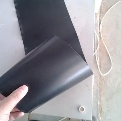 Geomembrana a doppio liscio di 2 mm in HDPE per digestori di biogas